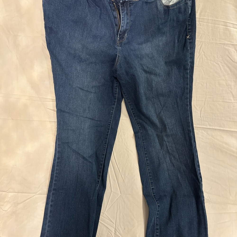 Classic Blue Women's Jeans-Lane Bryant-18 tall